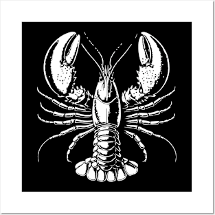 Lobster b&w graphics Posters and Art